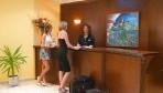 Adelais Hotel 03-recepcio
