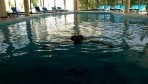 Hilton Resort Front 02-medence fedett.jpg