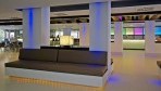 SolMirlosTordos06-lobby