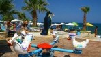 EriBeach20-jatszoter.jpg