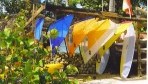 Oasis Coral Hamaca 08-sport