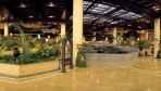 CostaAdeje01-hall5.jpg