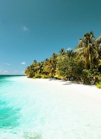 Vilamendhoo Island ****