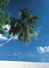Maldív-szigetek-Dhaalu Atoll szállások