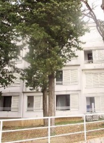 Vila Dalmacija ***